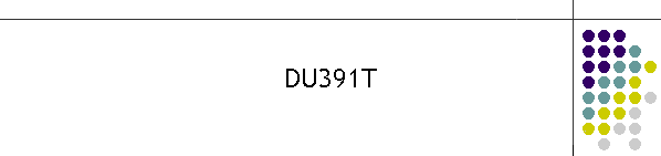 DU391T