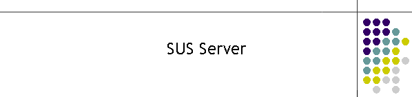 SUS Server